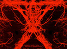 Blairwitch_poster