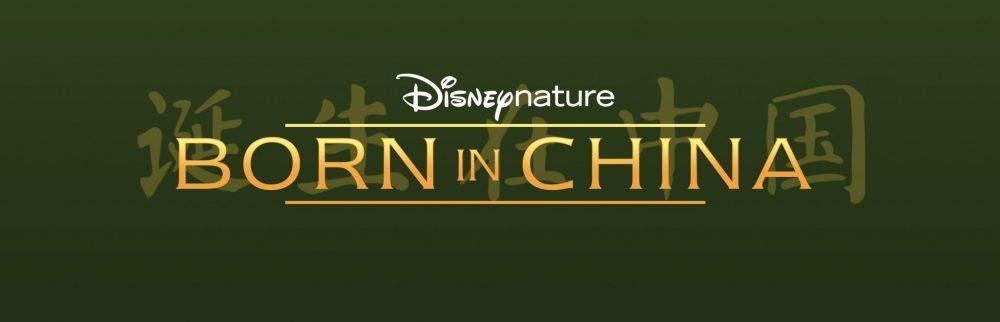 nuevo logo oficial de Born in China Disney