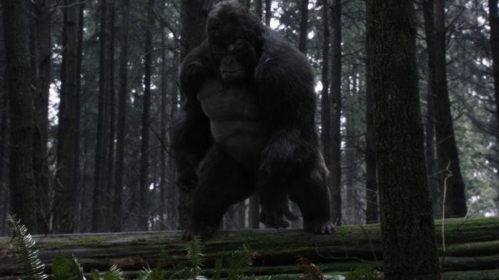 Imagen de The Flash 3x13: Attack on Gorilla City
