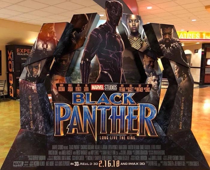 Nuevo traje de Pantera Negra en Black Panther (2018)