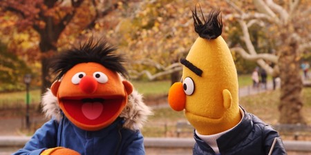 O Bert Ernie Outside In The Fall Facebook