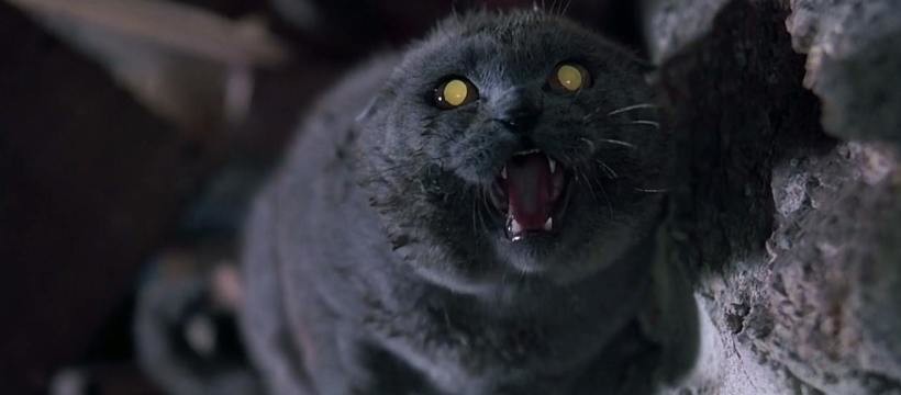 'Cementerio de animales' (1989): cómo una tragedia zombi con gato dio forma a una de las mejores adaptaciones de Stephen King 